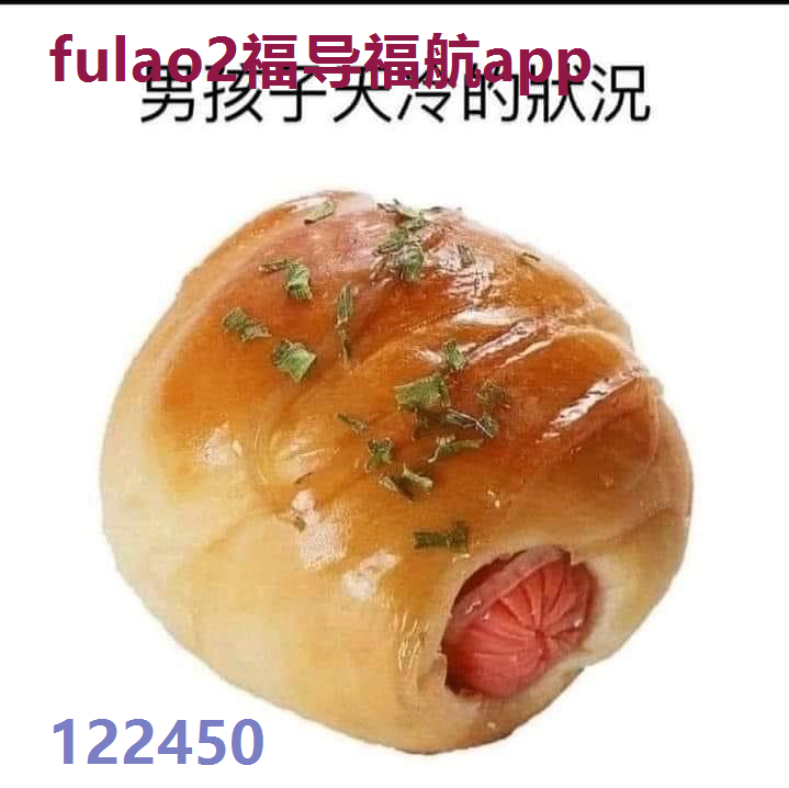 fulao2福导福航app